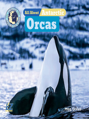 cover image of All About Antarctic Orcas